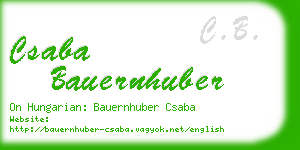 csaba bauernhuber business card